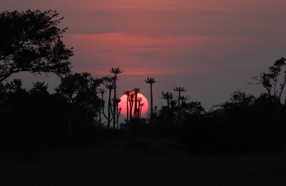 Explore Kissama National Park of Angola